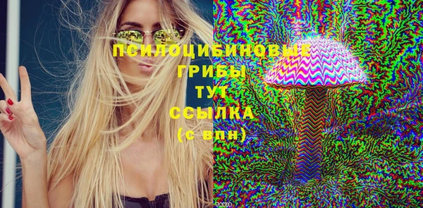 молекула духа Алзамай