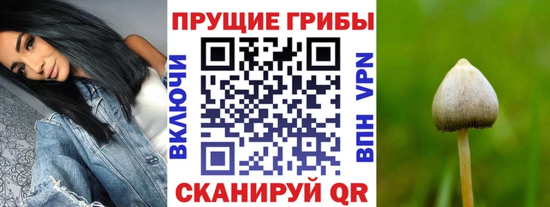 Псилоцибиновые грибы GOLDEN TEACHER купить наркотик Новочеркасск