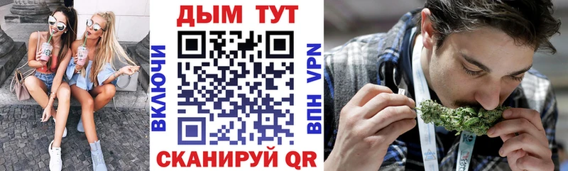 Каннабис план  где продают наркотики  Новочеркасск 